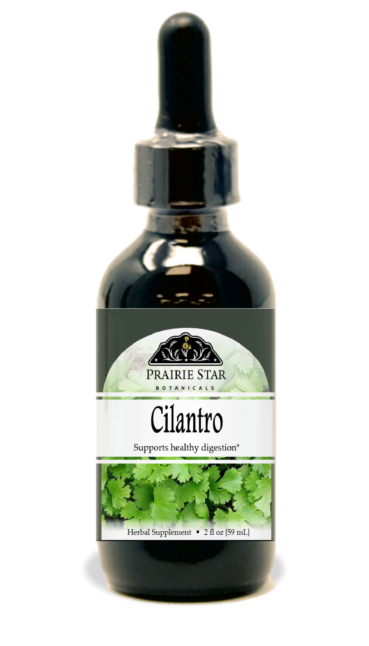 Cilantro