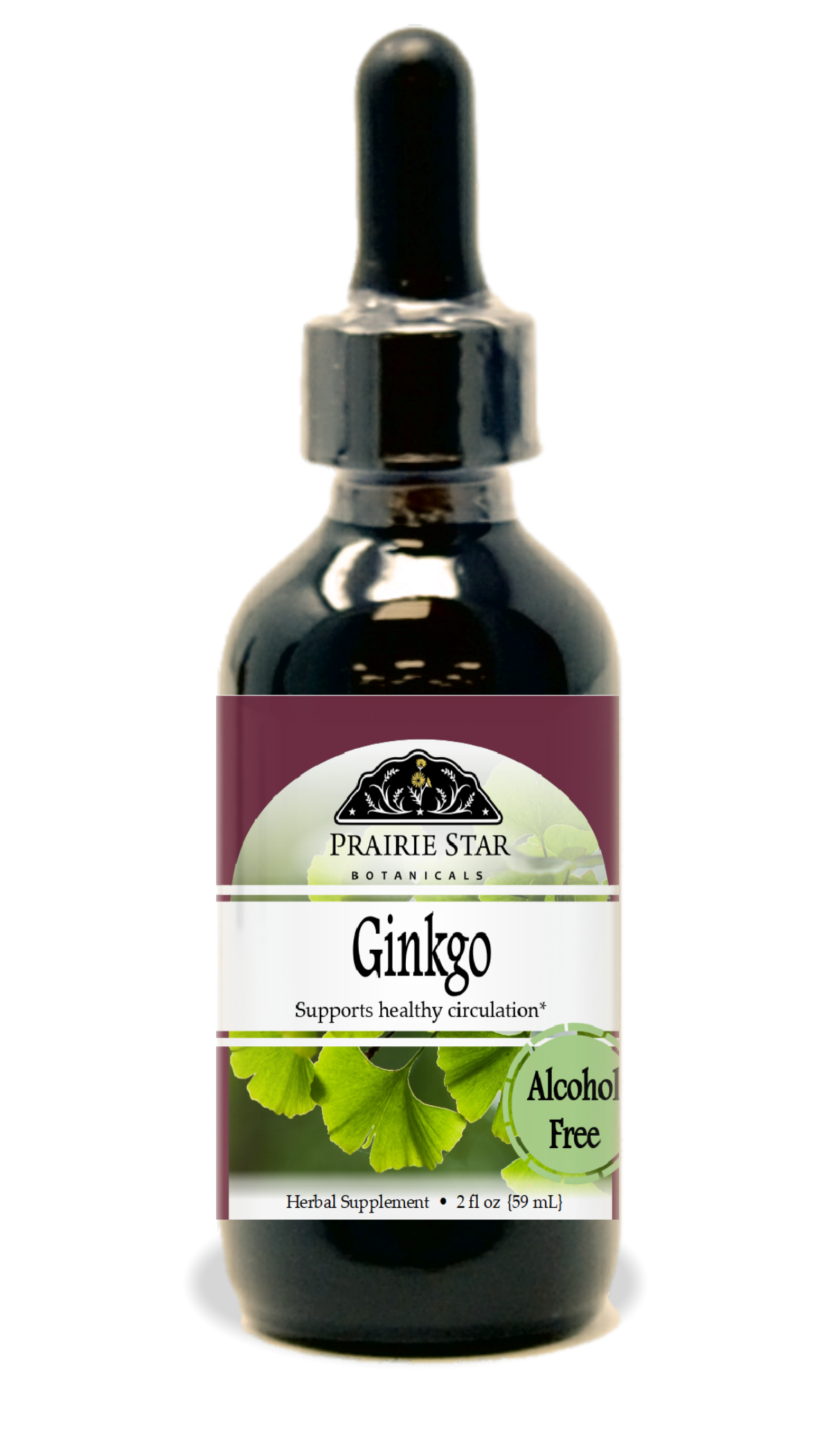 Ginkgo