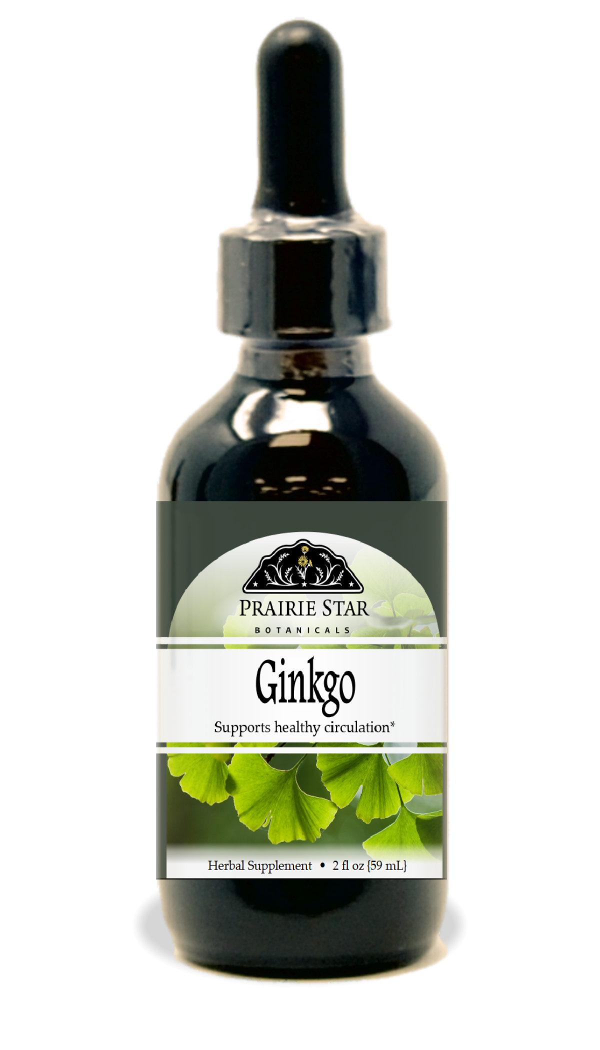 Ginkgo
